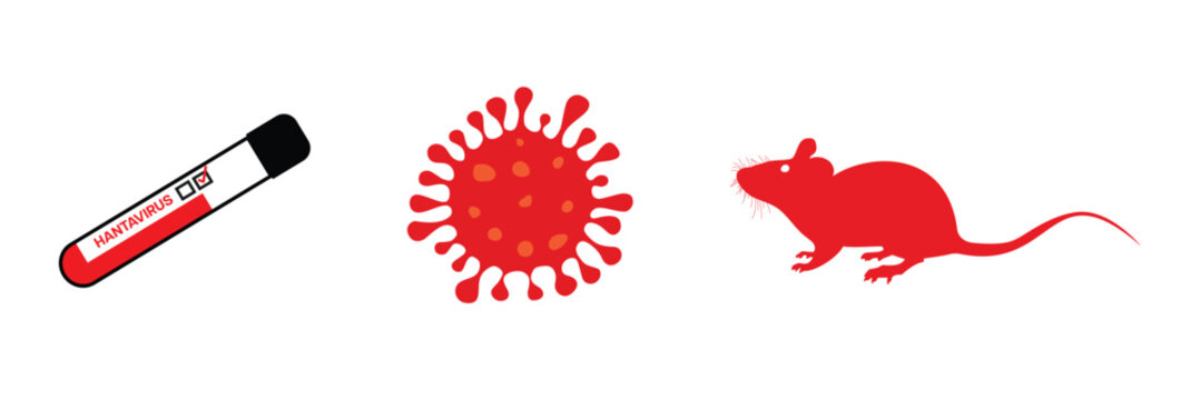 Hantavirus diagnosis concept with blood test tube virus particle and rodent vector illustration.