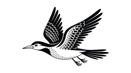 Fototapeta premium Black and white of a flying bird with detailed wing pattern wings flight