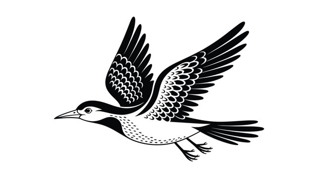 Black and white of a flying bird with detailed wing pattern wings flight