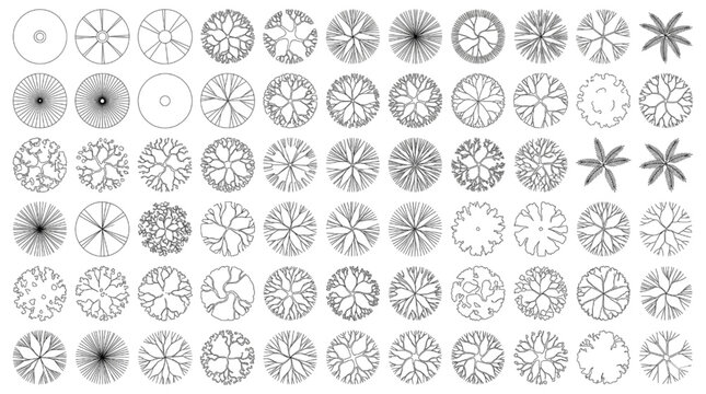 Extensive collection of diverse top-down tree plan view CAD symbols, essential graphic blocks for architectural and landscape design projects