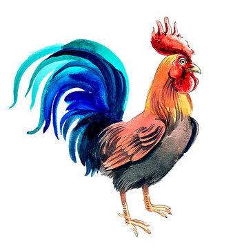 Colorful Watercolor Rooster Illustration - Hand-Painted Farmhouse Art