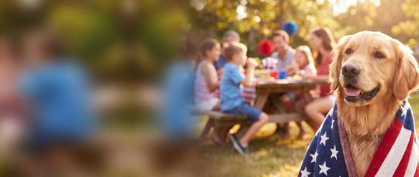  Wide 4th of July banner mockup. Cute Golden Retriever dog wrapped in an American flag with a heavily blurred background of a family having a summer BBQ picnic. Large copy space for tex