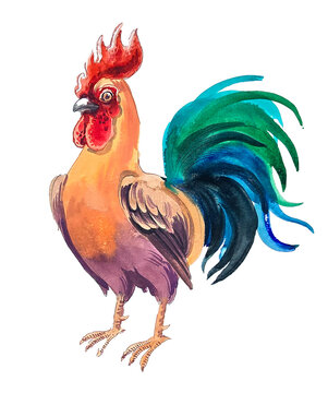 Colorful Watercolor Rooster Illustration - Hand-Painted Farmhouse Art