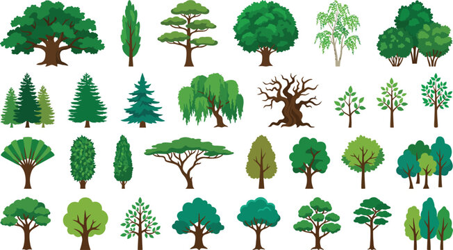 Collection of diverse trees with various shapes and sizes on white background