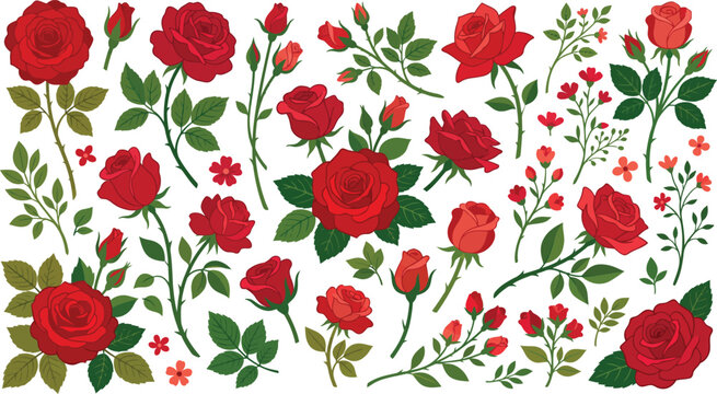 Vibrant red roses and flowers on white background with green leaves and stems