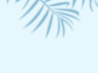 Obraz premium Soft Palm Leaf Shadow Overlay on soft light blue Background for Tropical Minimal Product Mockup Design