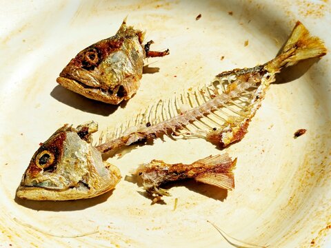 Macro shot of leftover deep-fried ciu fish bones, featuring crispy heads and a bare spine on a dirty plate