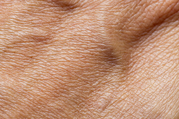Naklejka premium Macro Texture of Mature Human Skin,An extreme close-up macro shot detailing the natural texture, fine lines, and wrinkles of mature human skin, highlighting the biological patterns of the epidermis.