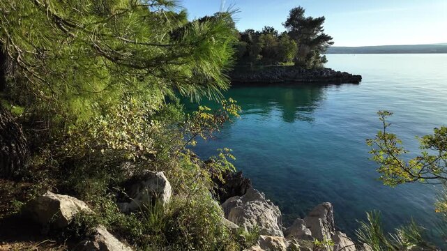Rocky Adriatic Sea coastline with Mediterranean pine trees and turquoise water near Malinska - Krk Island, Croatia. Scenic view from the Paradise Coastal Trail or seaside promenade on a sunny day.