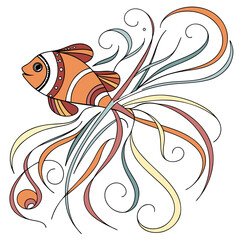 Colorful clownfish swimming with curly seaweed ©  Stock Gallery