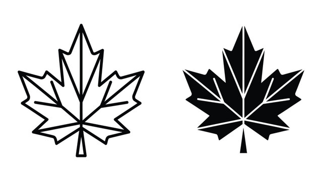 Black and white maple leaf design with white center lines
