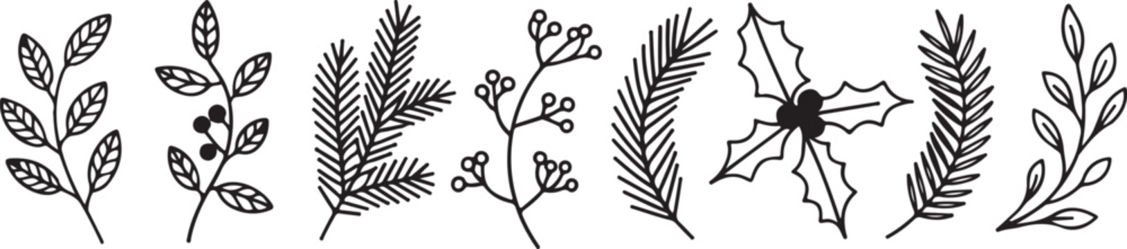Set of hand drawn winter botanical elements for seasonal cards and greeting invitations including holly leaves and pine branches.