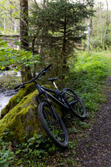 Fototapeta premium Cycling in the forest. Photo shot of the bicycle.