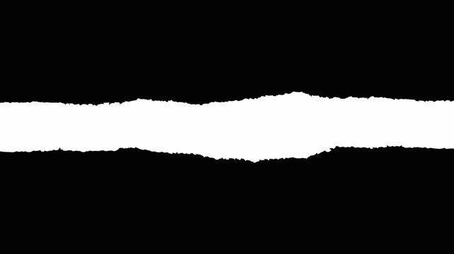 abstract jagged line on white background rough edge divider with black and white contrast