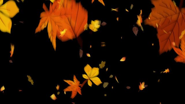 autumn background overlay with falling dry leaves