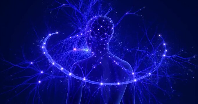 Human silhouette glowing neural network with blue light digital connectivity and circular light ring illustrating brain activity futuristic network technology concept abstract background science