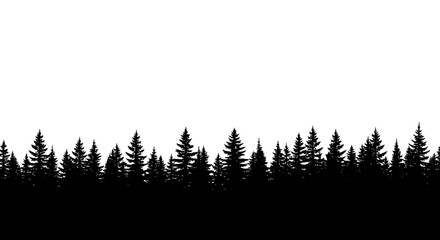 Fototapeta premium Silhouette of Pine Trees Line.