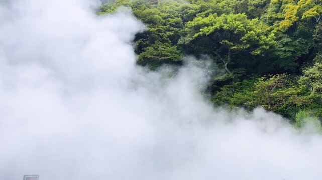 Thick geothermal steam rises from the hot spring at Umi Jigoku. Heavy volcanic vapor covers the lush green hillside in Beppu. Hot mist billows continuously over the tropical trees in Japan. 