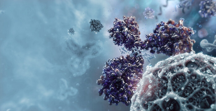 Monoclonal antibody binding viral surface: immune neutralization process in extracellular environment. Immunoglobulin (IgG) Y-shaped protein, molecular interaction. Immunotherapy, antiviral defense 
