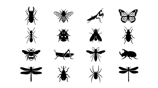 Insect silhouette icon set with beetle, ant, bee, moth, fly and dragonfly for nature and education graphics