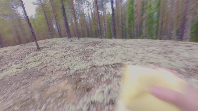 A man in the woods runs and unwinds a roll of toilet paper to go to the toilet big time. A traveler on a forest hike really wanted to go to the toilet. From the first person.