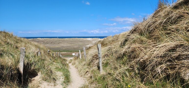 Sylt, Ellenbogen
