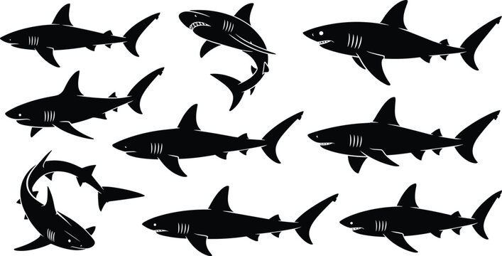 Shark silhouette vector collection with different swimming poses isolated on white background for marine wildlife design