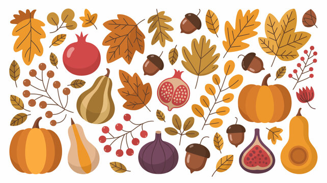 autumn harvest illustration with pumpkins pomegranates pears figs and fall leaves on a white background