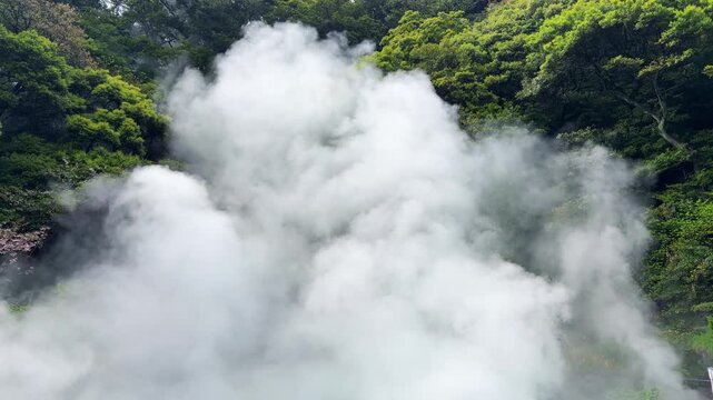 Thick geothermal steam rises from the hot spring at Umi Jigoku. Heavy volcanic vapor covers the lush green hillside in Beppu. Hot mist billows continuously over the tropical trees.