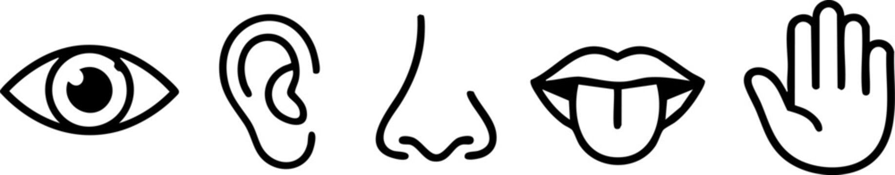 Vector icons representing the five senses with perception awareness illustration stimulus reception