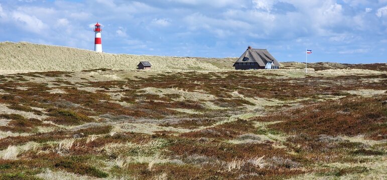 Sylt, Ellenbogen