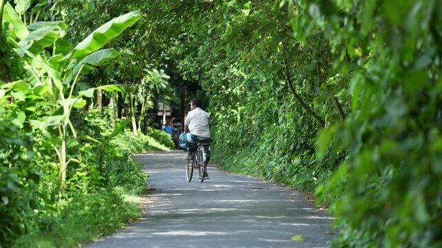 Bogura, Bangladesh - 28 July 2024: View of a man riding a bicycle along a narrow paved road surrounded by lush green trees and dense foliage in the countryside.