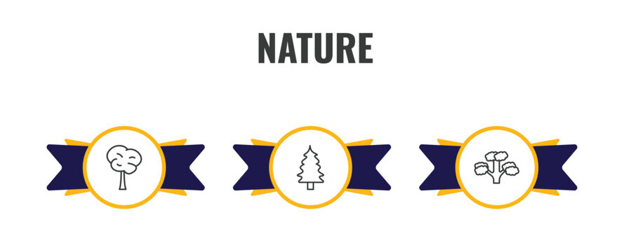 nature outline icon set. thin line bigtooth aspen tree, eastern redcedar tree, pitch pine tree icons. editable vector