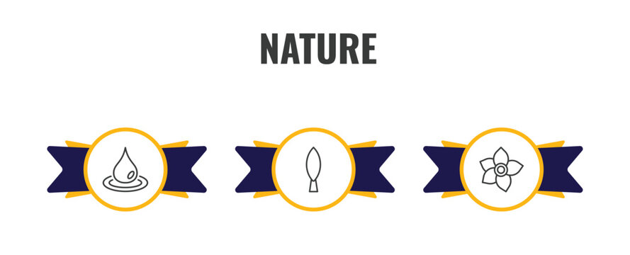 nature outline icon set. thin line raindrop, cypress, narcissus icons. editable vector