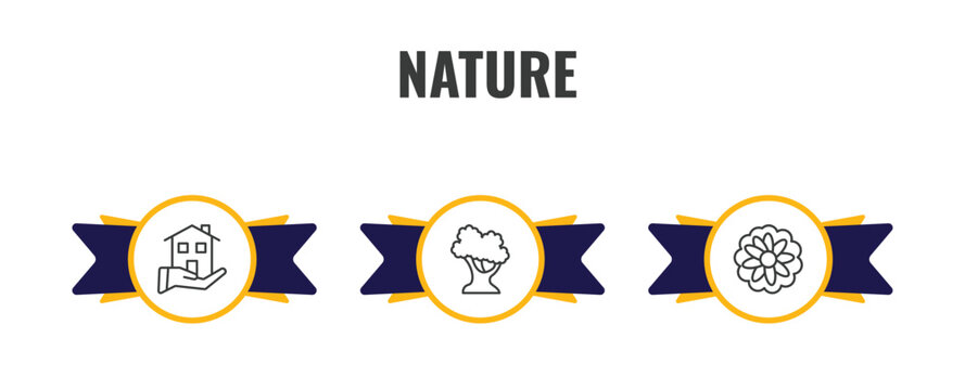 nature outline icon set. thin line house for rent, white oak tree, astrantia icons. editable vector
