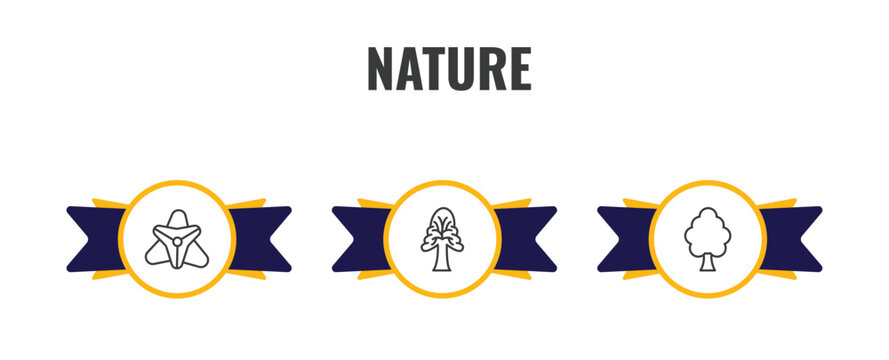 nature outline icon set. thin line gladiolus, the oaks tree, american elm tree icons. editable vector