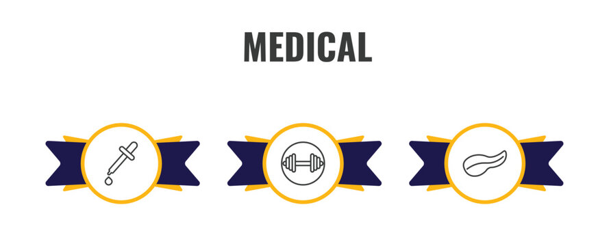 medical outline icon set. thin line pipette, weightlifting, pancreas icons. editable vector