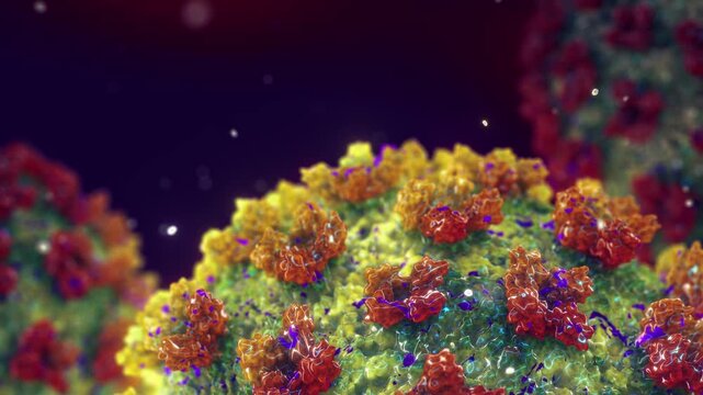 Hantaviruses in blood animation. Hantaviruses can cause hemorrhagic fever with renal syndrome HFRS. Enveloped RNA virus with surface glycoproteins. 