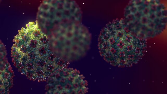 Hantaviruses animation. Infection with this RNA virus can cause hantavirus cardiopulmonary syndrome (HCPS). Deadly infectious disease, viral pathology	
