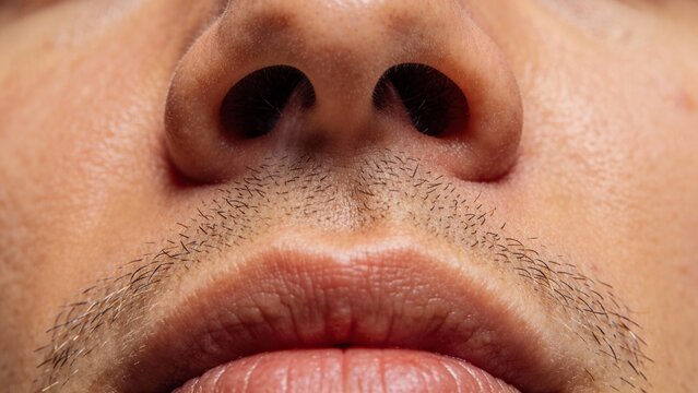 Focusing on the lower part of a male face, this scene highlights subtle textures and features under soft natural light. The moment conveys a sense of thoughtfulness and introspection.