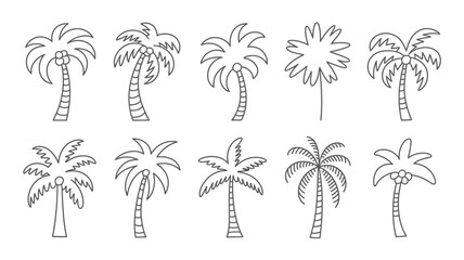 Obraz premium collection of twelve palm tree line drawings on a white background