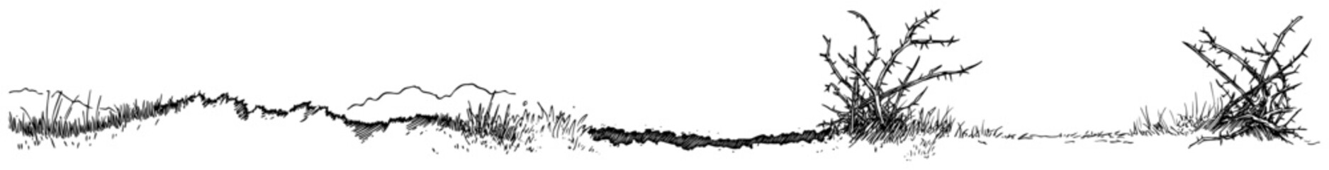 Thorny bushes and dry vegetation on horizon line in hand drawn line art style © Kaz