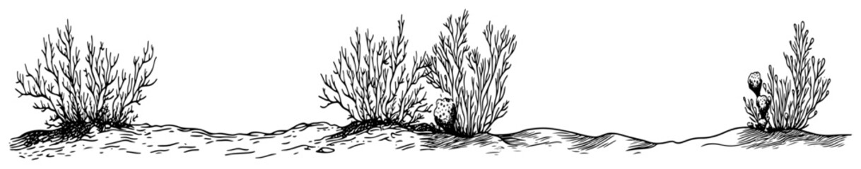 Desert shrubs and dry bushes on sandy ground in minimalist line art style © Kaz