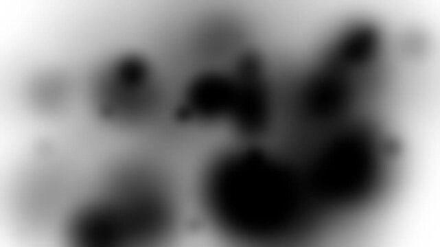 Abstract black ink bleed on white background, soft organic motion texture
