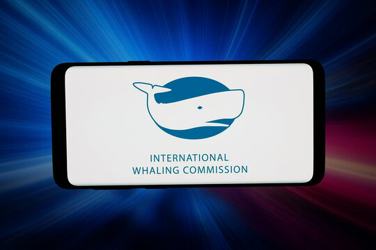 Stuttgart, Germany - 05-13-2026: In this photo illustration, the logo of International Whaling Commission (IWC) is displayed on a smartphone in front of abstract background on computer screen.