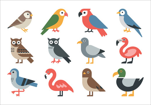 Colorful Cute Birds Illustration Set