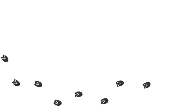 Animal paw prints.  Footprints walking animal on a trajectory of movement. Donkey paw prints  on a white background.  4K.  Animated Video