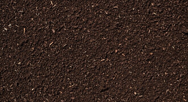 Rich, dark, fertile soil texture with fine organic matter