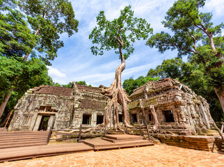 Obraz premium A beautiful view of Ta Prohm's Ruins in the Angkor Thom Complex