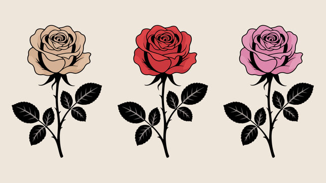 Three roses with stems and leaves vintage style floral illustration on a neutral background
